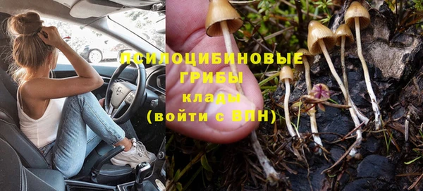 метадон Аркадак