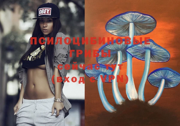 хмурый Галич