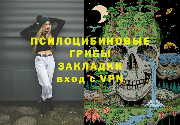 бошки Гвардейск