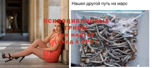 амф Балахна