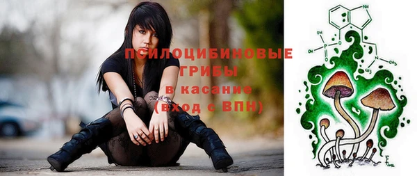 а пвп мука Гатчина