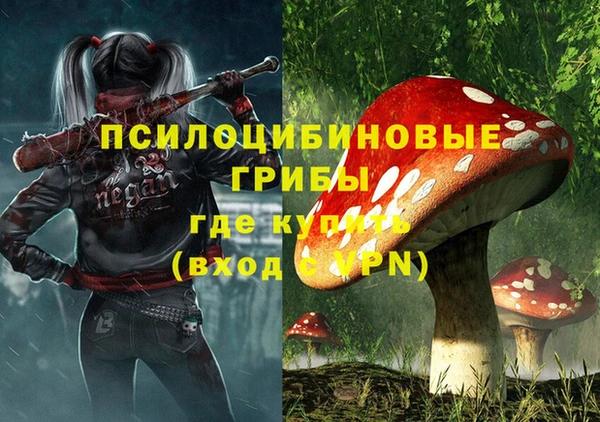 a pvp Бородино
