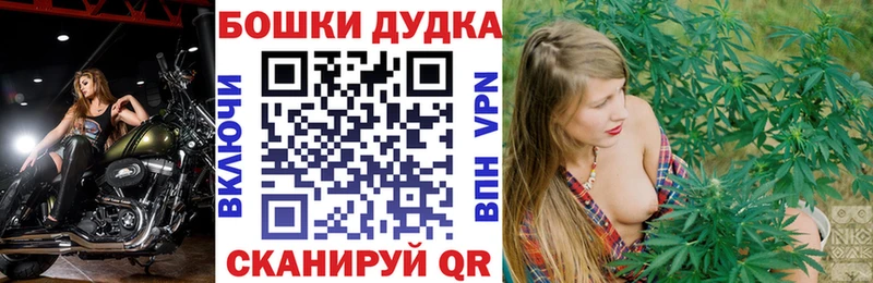 Бошки Шишки LSD WEED  где купить наркоту  Кировск 